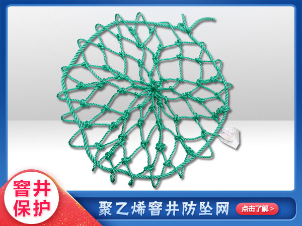 聚（jù）乙烯窨井防護（hù）網